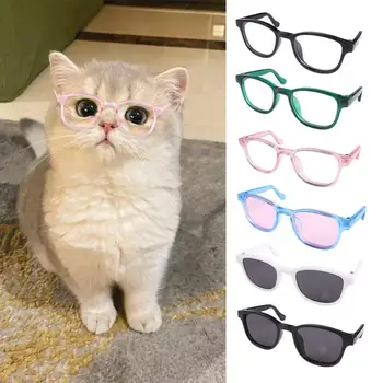 Pet Güneş Gözlüğü için Küçük Zarif Pet Gözlük Şık Pet Güneş Gözlüğü için Güneş Rüzgar Koruma için Moda için Fotoğraf